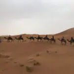 60AF14C5-2796-4066-AA5E-306E6D7D4D09-150x150