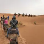 A39E7026-9A98-4DA6-B853-B7B4758BA750-150x150